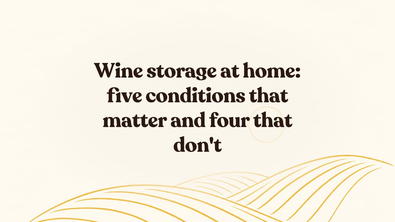 Wine storage at home: five conditions that matter and four that don't